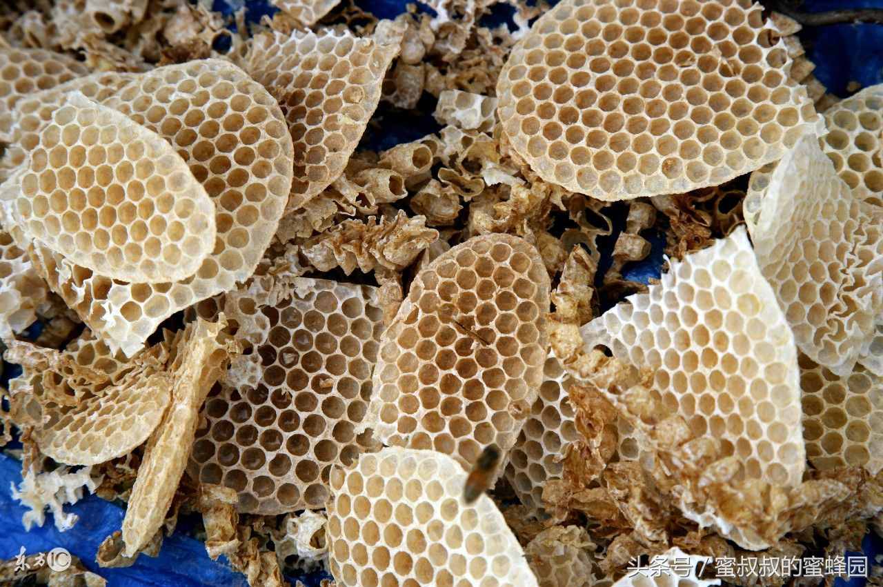 蜜蜂的家园——蜂巢具有6种奇妙的功效，你知道多少种？