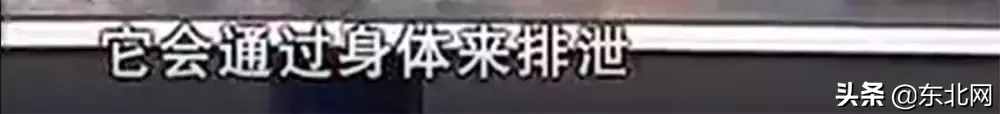 家里有水垢的水才是好水？央视报道水垢的真相！