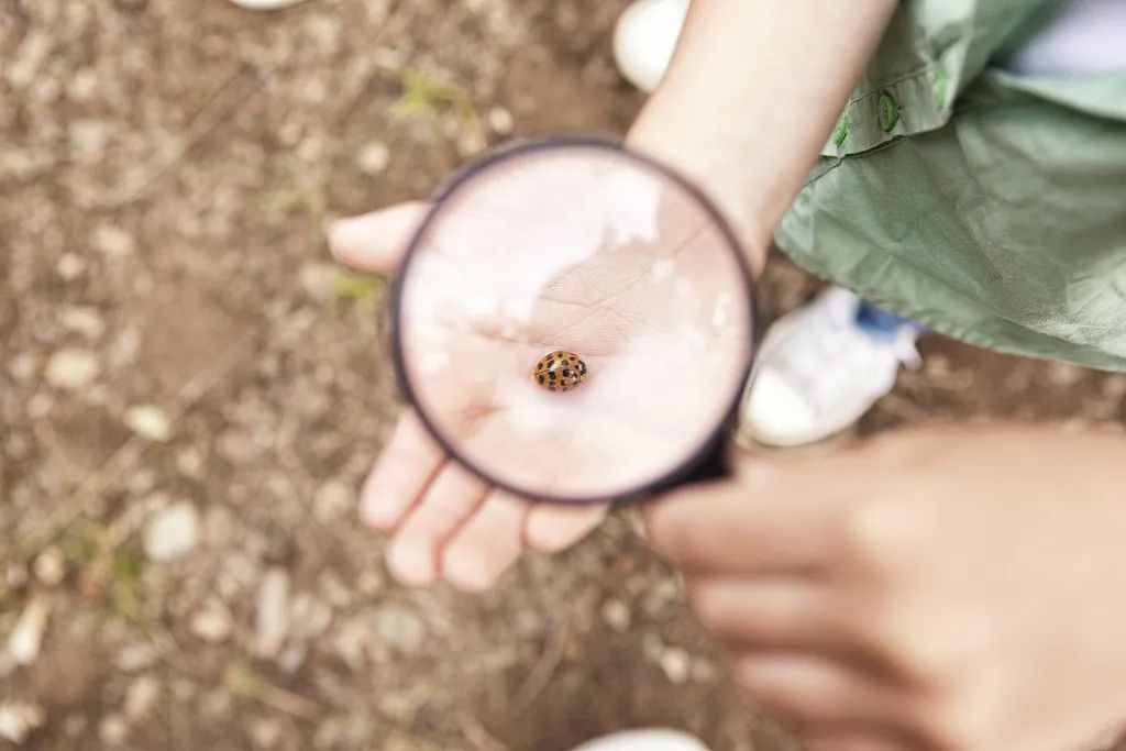 夜话丨法布尔：昆虫记之论遗传