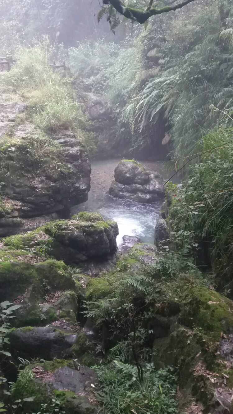 四大佛教名山——峨眉山