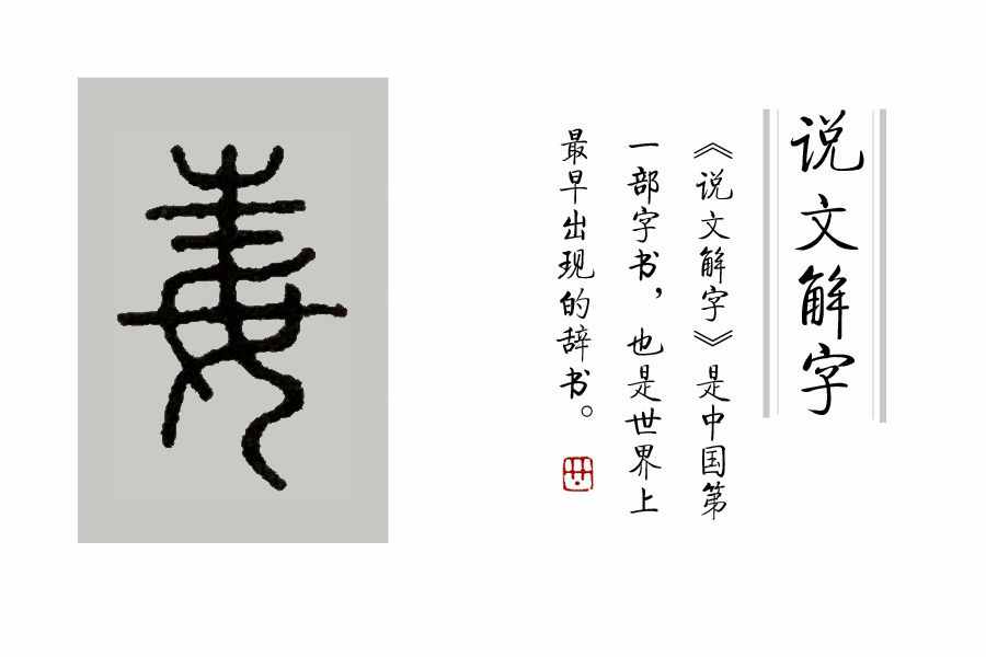 《说文解字》第37课：“艸”部，就是“草字头”，字多，但不复杂