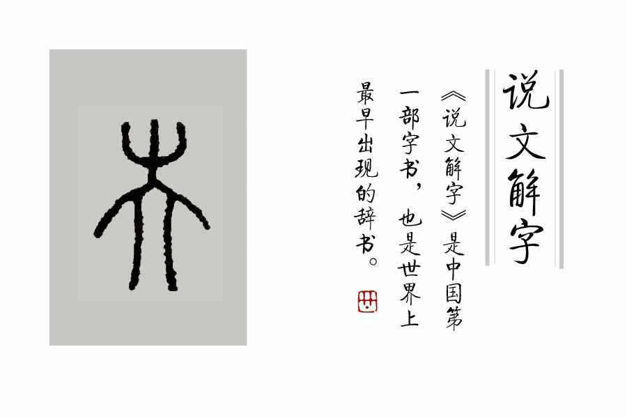 《说文解字》第37课：“艸”部，就是“草字头”，字多，但不复杂