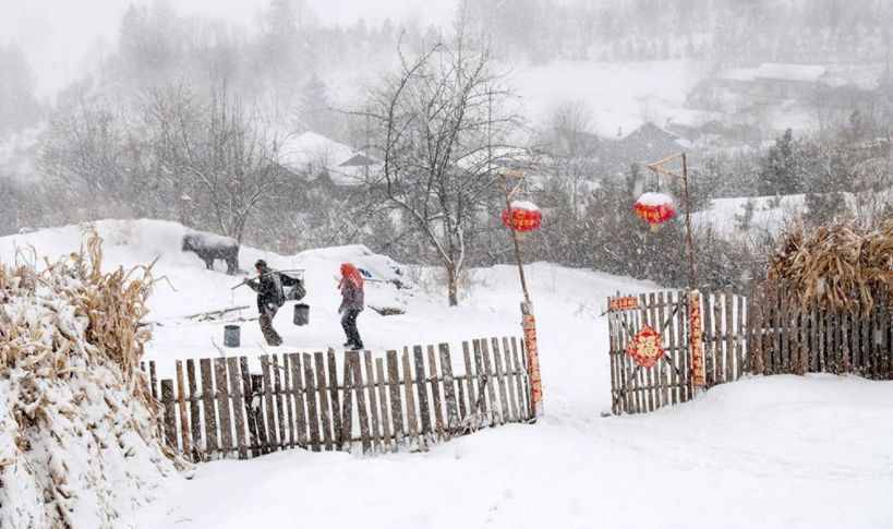 【诗词鉴赏】飞雪迎春到 瑞雪兆丰年