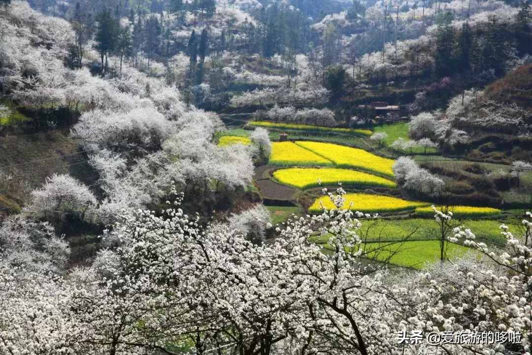 3月份最值得去的20个地方，全都美哭了，新春第一场旅行你去哪