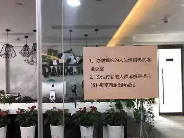 熊猫直播宣布破产：这个价值百亿的教训将青史留名