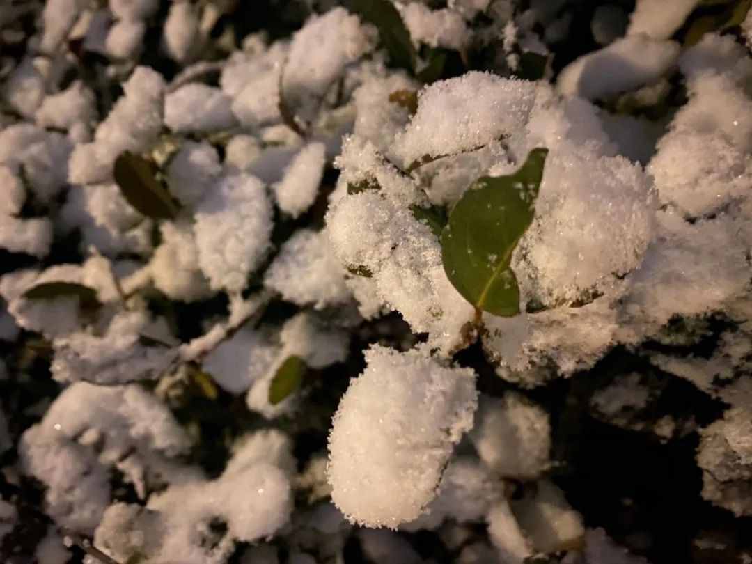 北京又下雪了，2020年最后一场雪，看下有趣的雪景大赛照吧