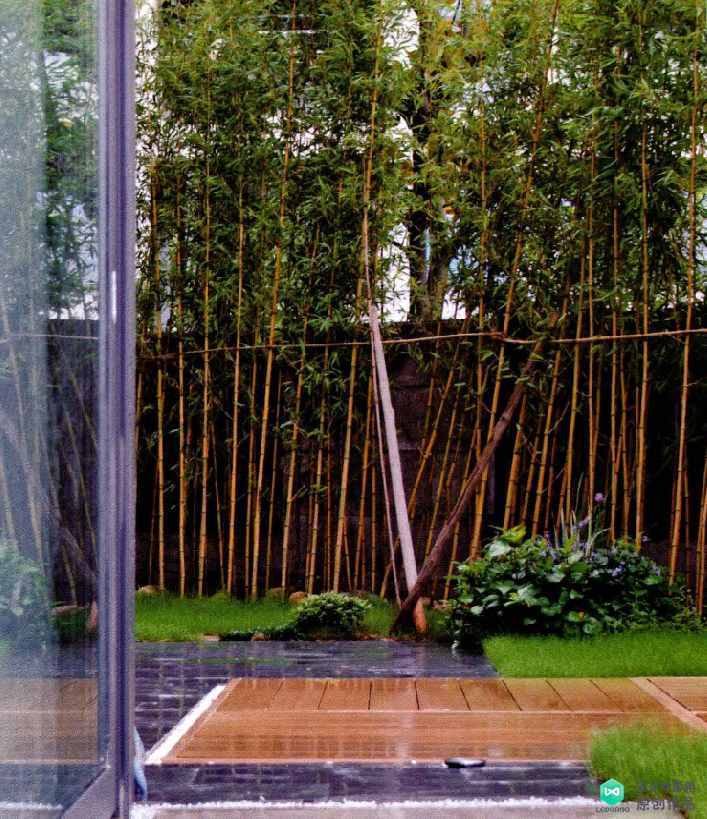 上海120㎡日式庭院实景照片！带平面图与植物配置，千万别错过