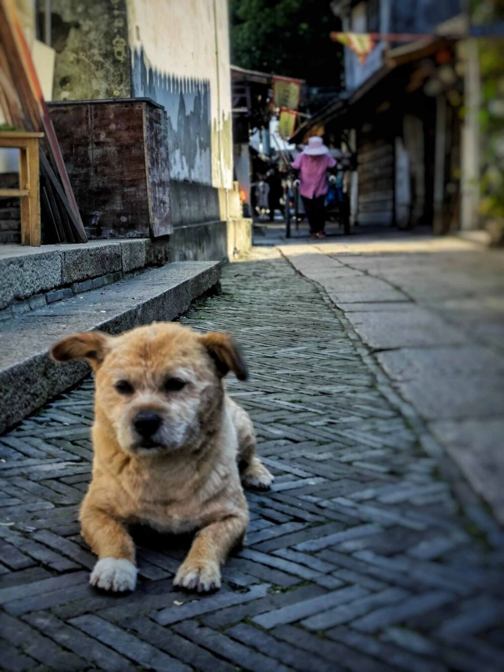 锦溪古镇休闲一日游