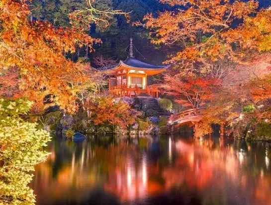 美媒评选25处日本最美景，你去过几个？