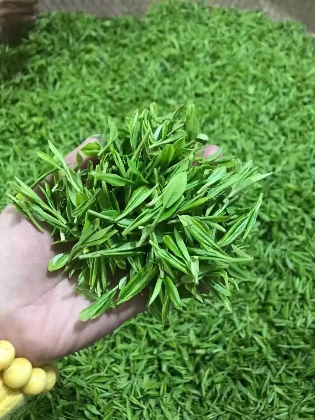 淡茶抗疫：西湖龙井茶（绿茶），斯宅高山茶（绿茶、红茶）