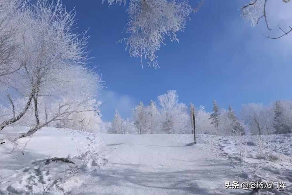 中考说明文中常见的说明方法及其作用