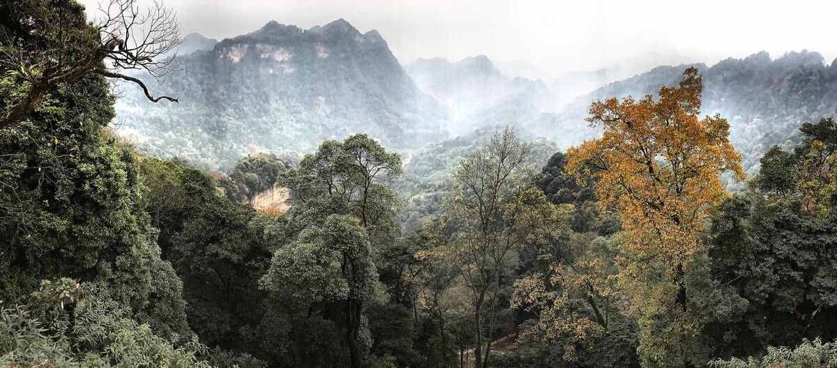 成都人民的后花园，道教名山青城山最详细攻略，请收好