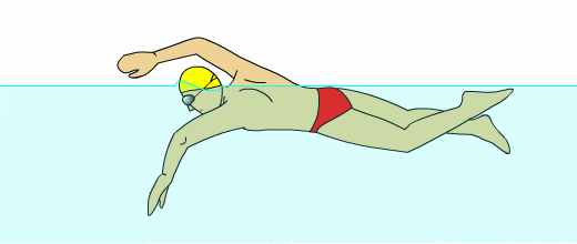 自由泳标准动作，献给正在学自由泳的您
