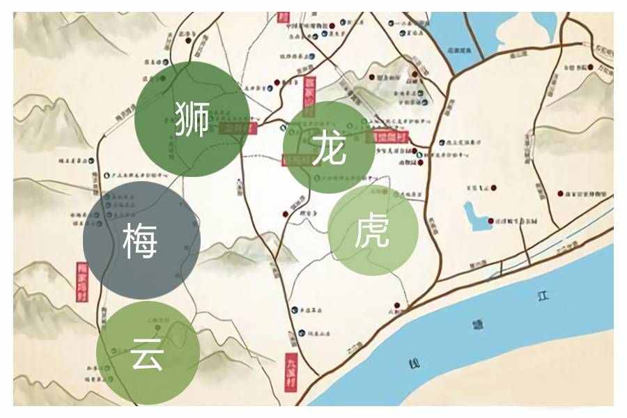 西湖龙井茶五大核心产地，谁才是龙井之巅？