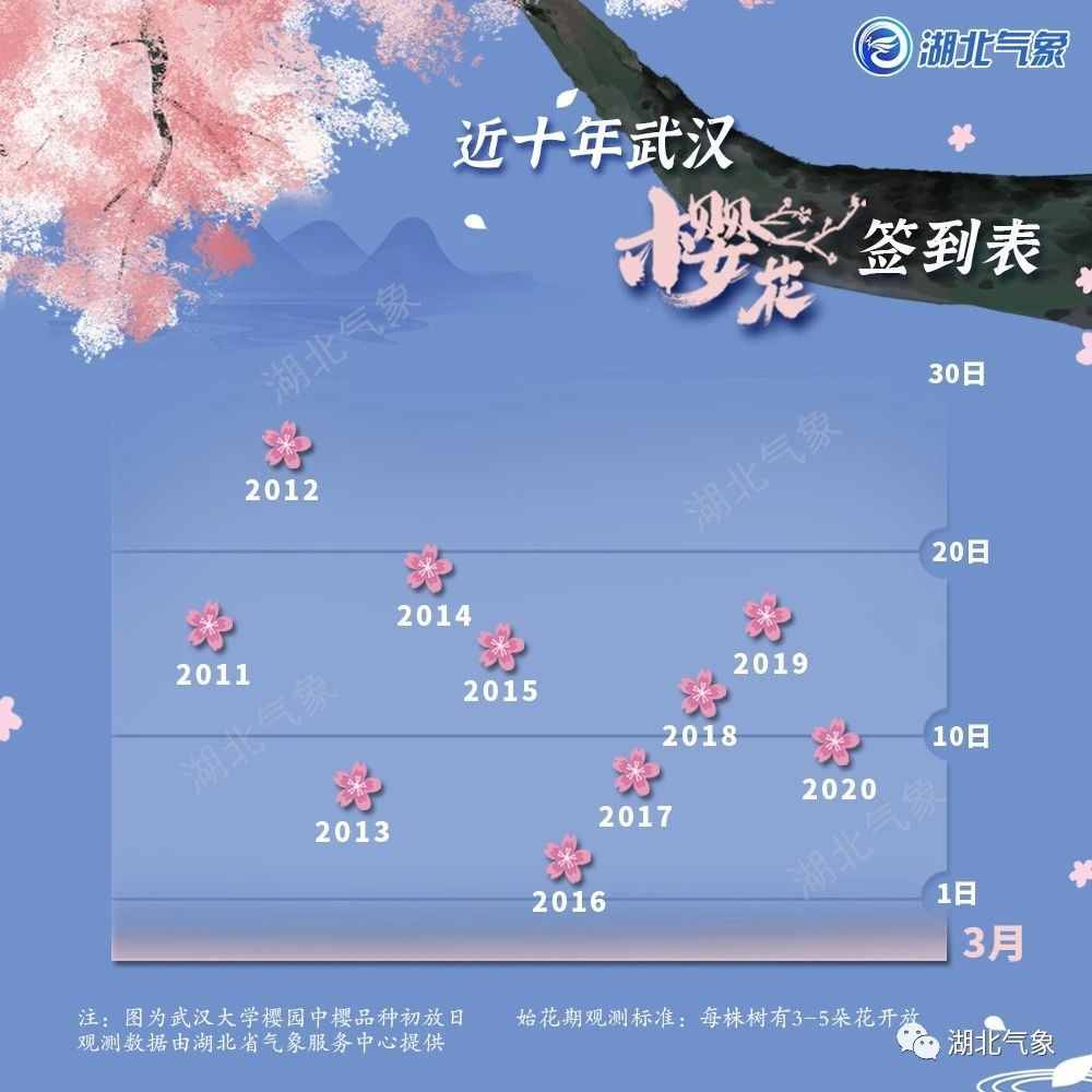 最新樱花预报来了！武大樱花将于26日前后开放，花期比往年多出一周