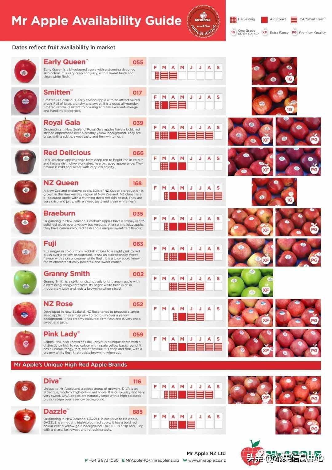 常见的23种苹果的品种产地及成熟时间一览
