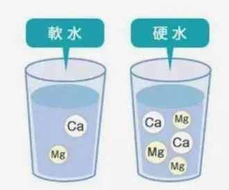 硬水会导致脱发么？水的硬度对使用者有何影响？