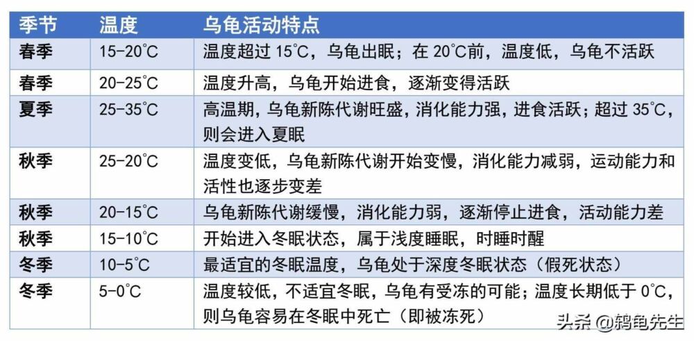 乌龟什么时间开始冬眠？温度15度以下冬眠，各地龟冬眠时间一览