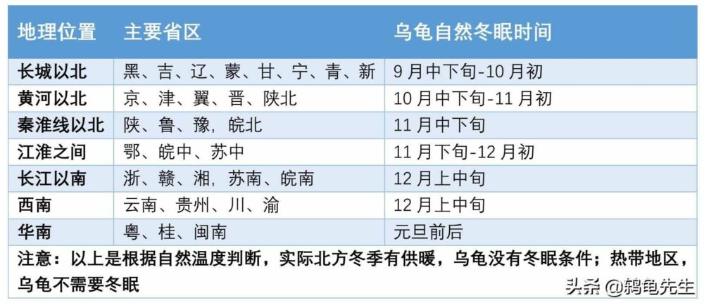 乌龟什么时间开始冬眠？温度15度以下冬眠，各地龟冬眠时间一览