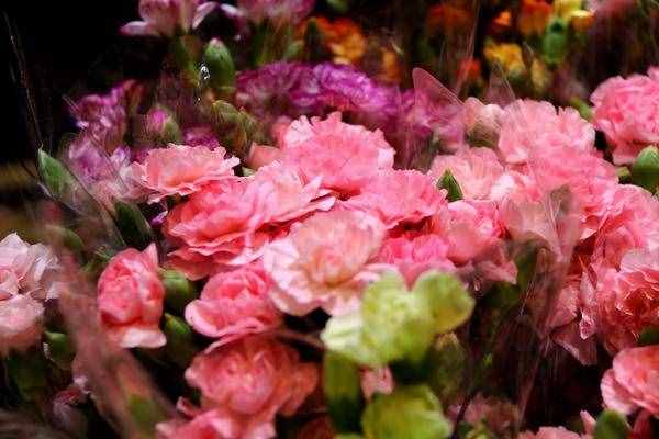 2021母亲节｜送花攻略：除了康乃馨，这些花语你知道吗？