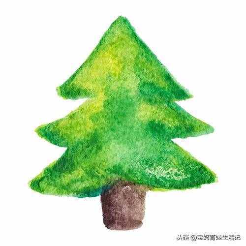 总结圣诞树彩色简笔画，简单好看！