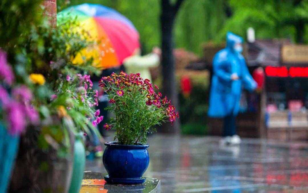 最美的不是下雨天，而是和你在台儿庄古城屋檐下躲过的雨