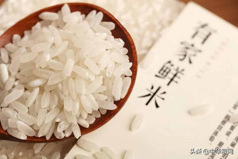 「知识篇」稻谷能够加工成多少种原米制品？都有哪些营养价值呢？