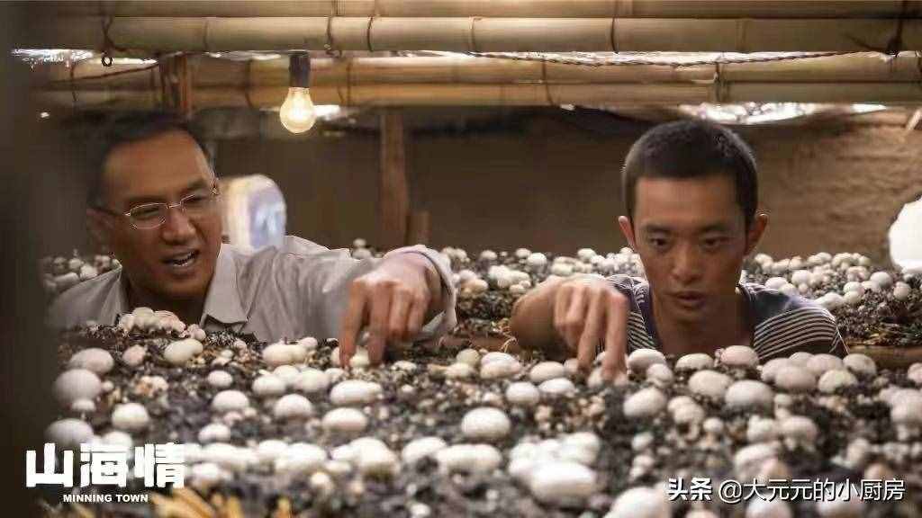 《山海情》中的双孢菇，20年前就能卖上高价，贵有贵的道理