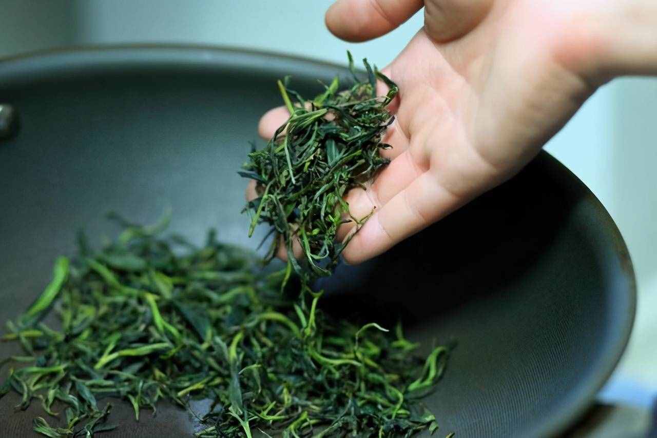 泡绿茶最怕先放茶叶再倒水，想茶汤香浓口感好，牢记“三投”泡法