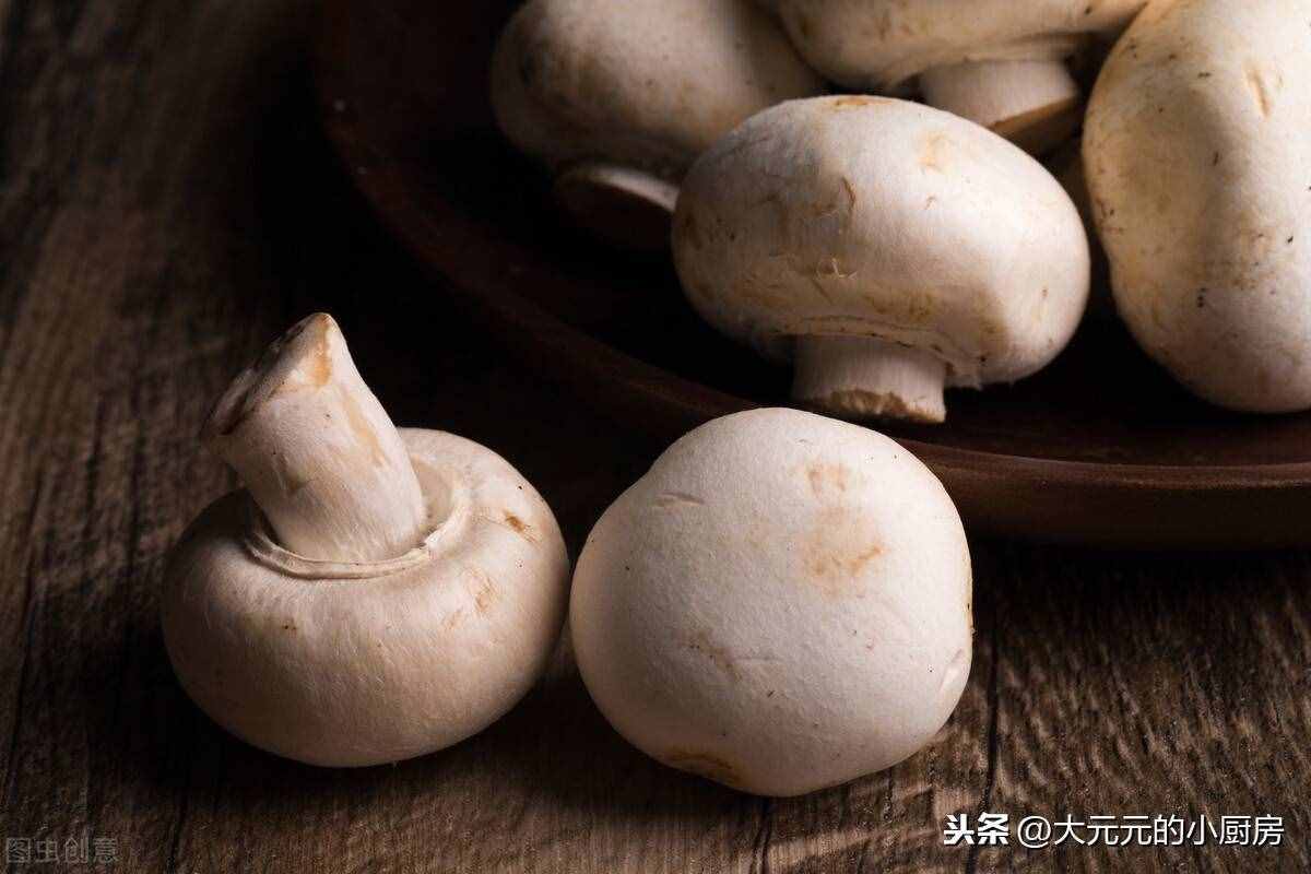 《山海情》中的双孢菇，20年前就能卖上高价，贵有贵的道理