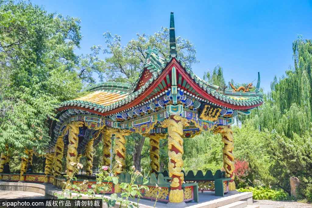 无需预约！北京二环里最“灵”的公园，美出了新高度！快来感受碧波荡漾，绿柳拂面