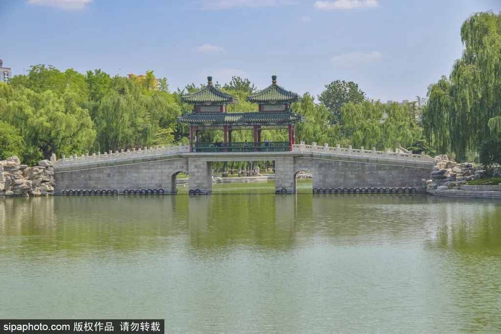 无需预约！北京二环里最“灵”的公园，美出了新高度！快来感受碧波荡漾，绿柳拂面