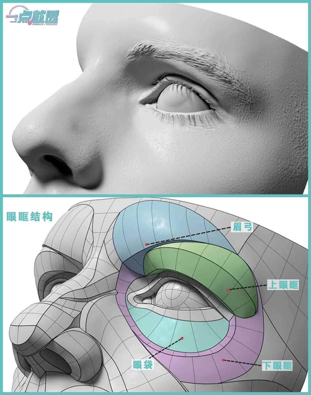 素描头像 | 五官局部 2-1-1.眼睛的结构分析