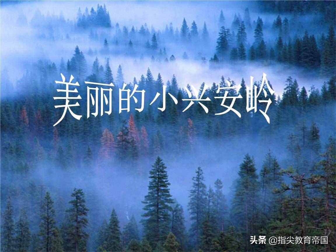 三年级《美丽的小兴安岭》考点太经典，提高阅读能力，先学好这篇