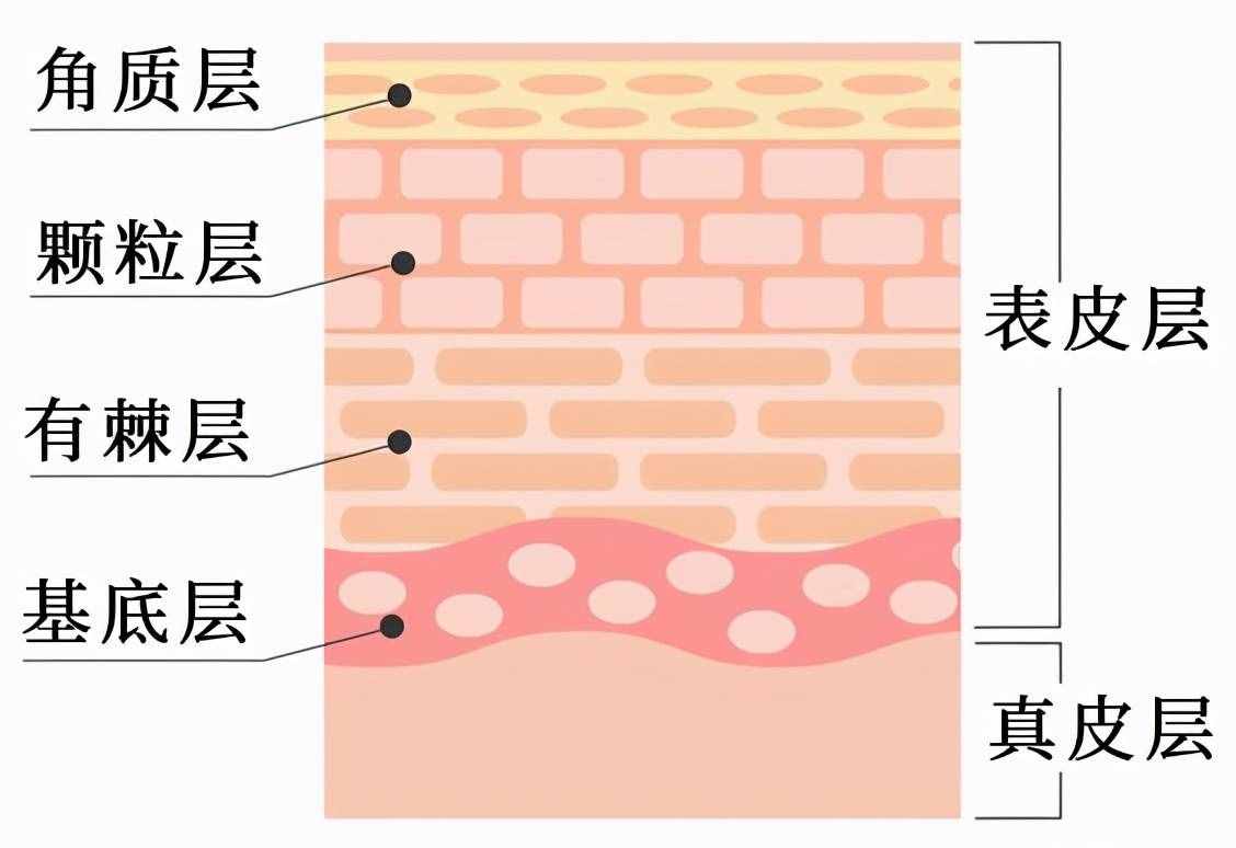 化妆水到底要不要用？应该怎么用？你的疑虑在这都有答案