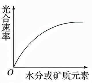 高中生物必修一考点梳理（2）