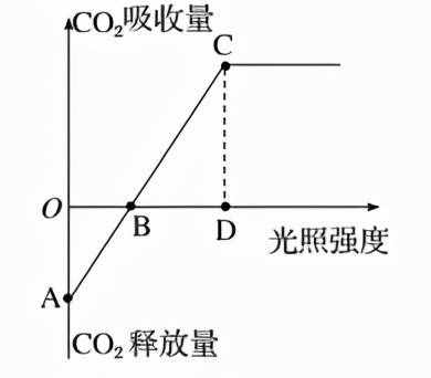 高中生物必修一考点梳理（2）