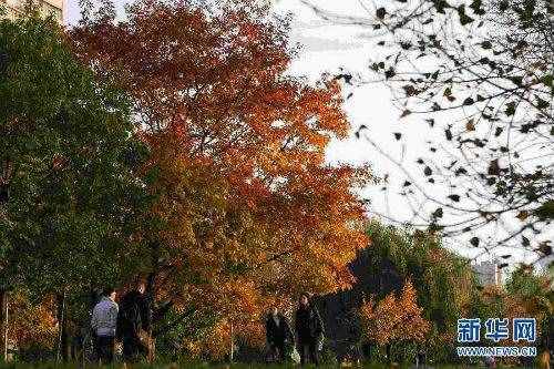 秋分是什么意思含义 秋分节气的寓意意味着什么
