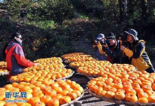 秋分是什么意思含义 秋分节气的寓意意味着什么