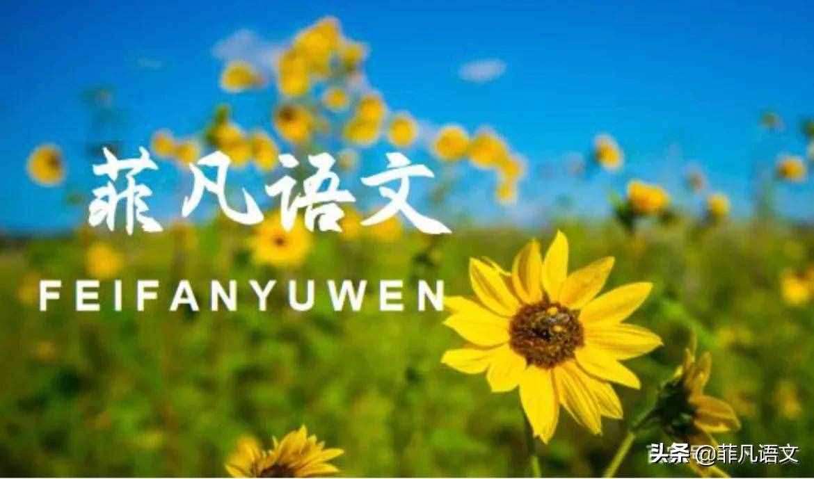 部编版语文二年级上册各课中心思想总结，可打印