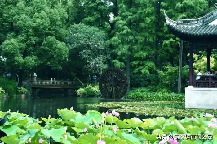 诗词｜8首夏日田园诗，梅子熟时，花开半夏，美到心醉