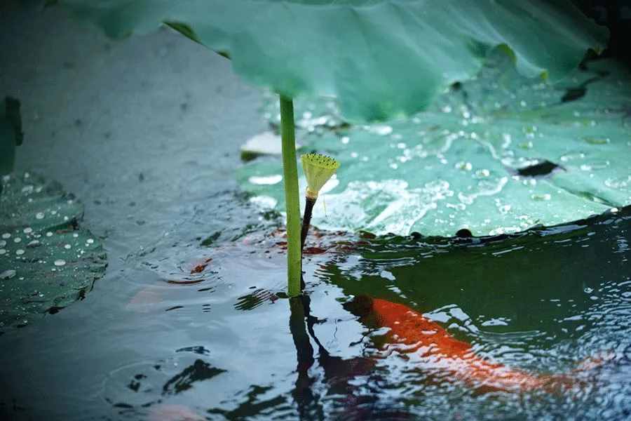 小儿垂钓：蓬头稚子学垂纶，侧坐莓苔草映身