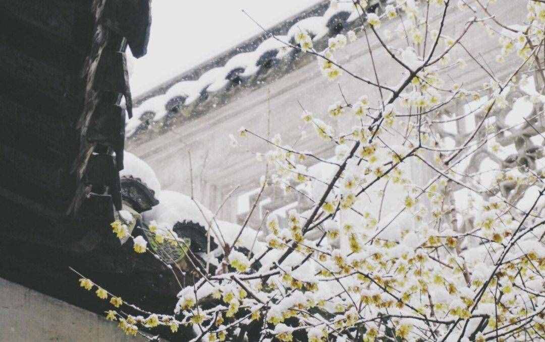 【诗词鉴赏】飞雪迎春到 瑞雪兆丰年