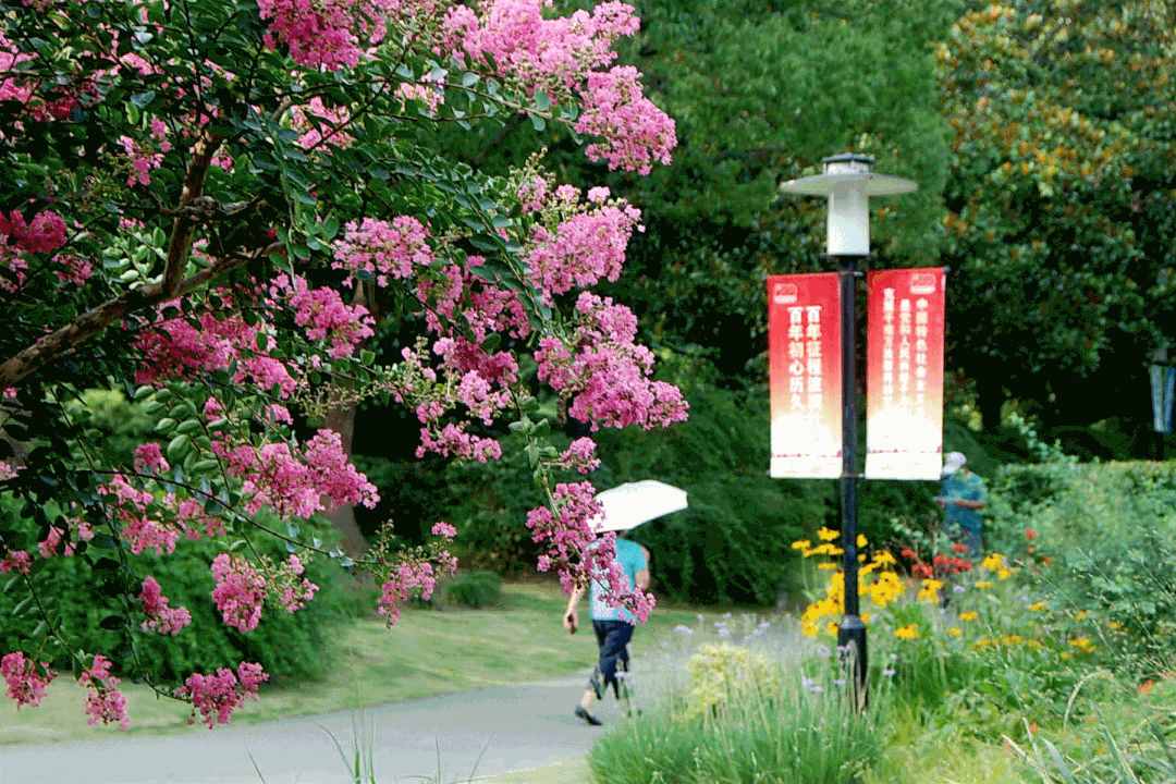 夏日限定美好已上线，就在杨浦这个公园