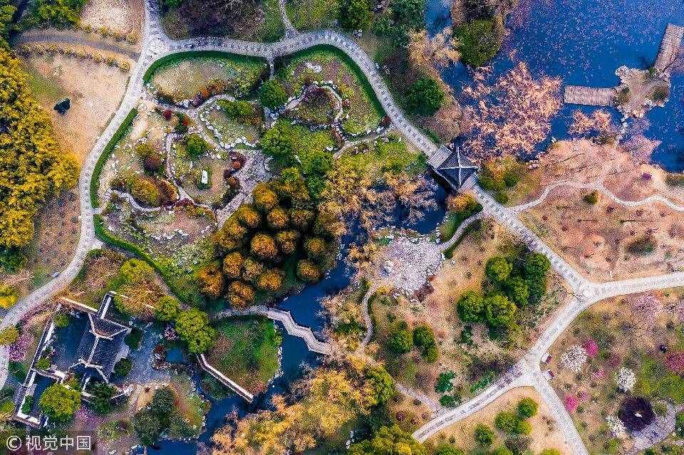 图集 | 江苏南京：钟山风景区 春花烂漫迷人眼