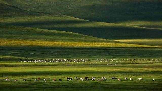 中国最大的草原—呼伦贝尔大草原