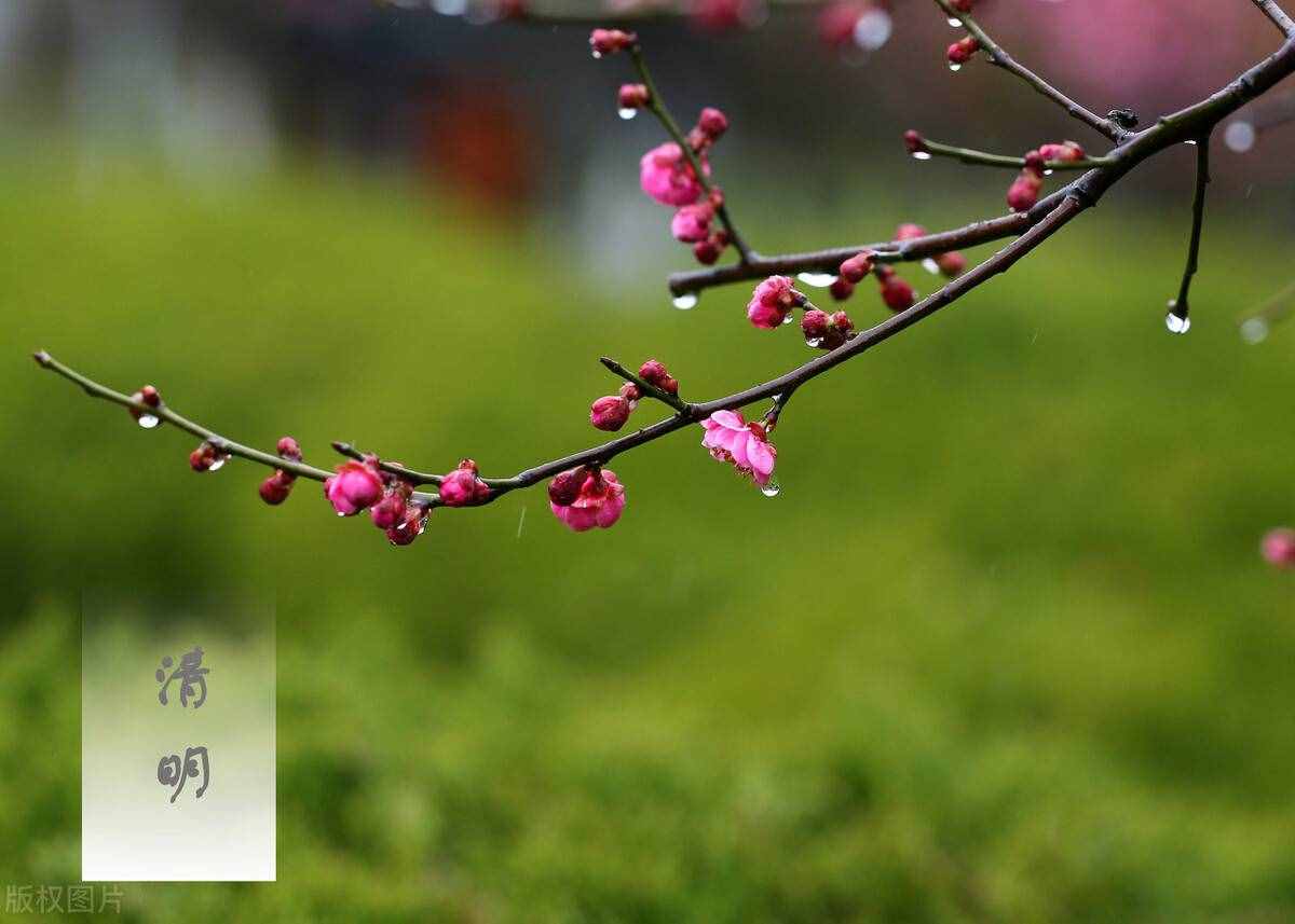 4月4日清明节，“3不烧，3不做，3习俗”，农村老传统不能丢
