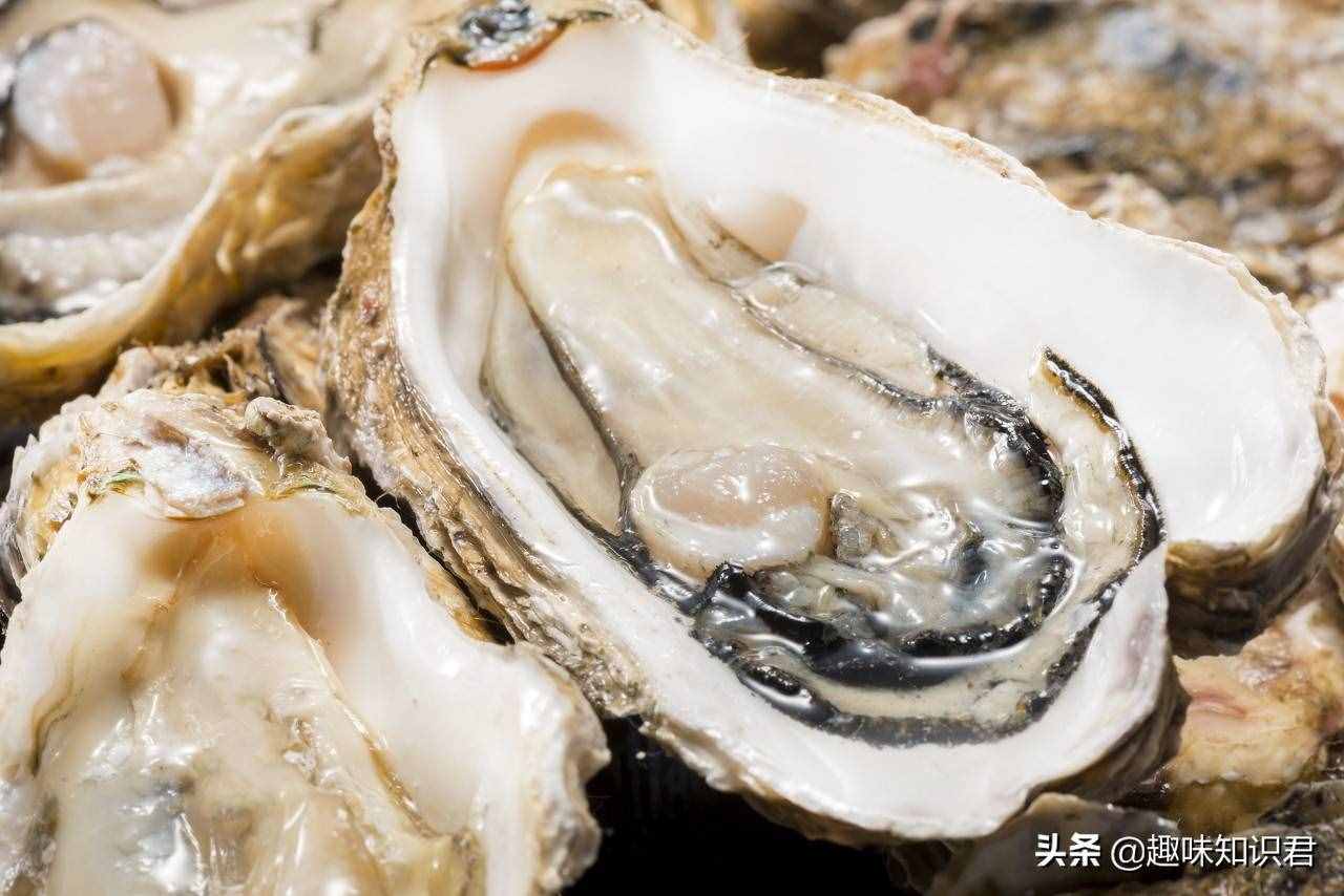 趣味冷知识分享（三十二）快来一起涨知识