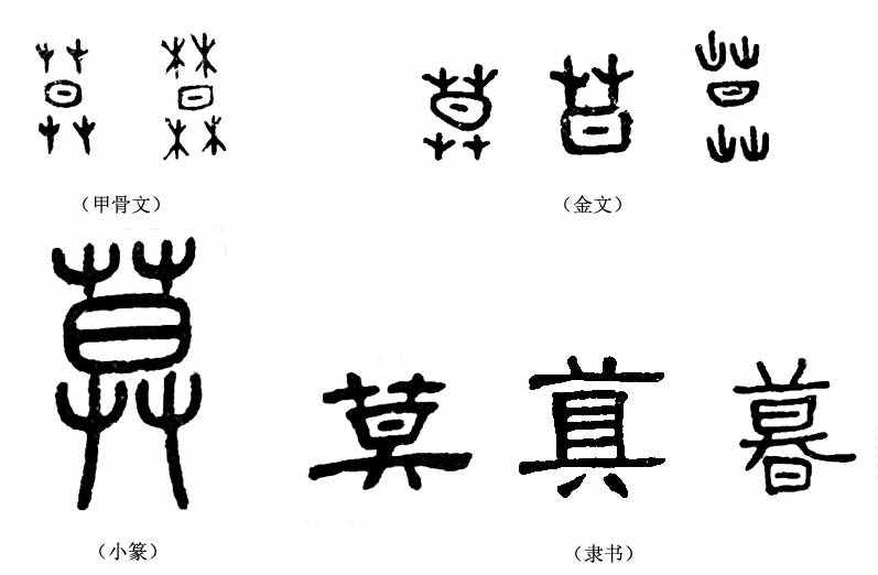 汉字说：“薅羊毛”的“薅”，本来薅的是什么？