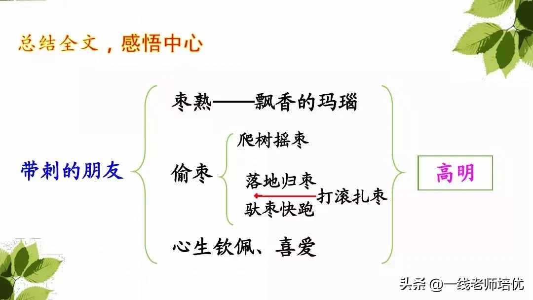 部编版三年级上册第23课《带刺的朋友》重点知识+课文解读